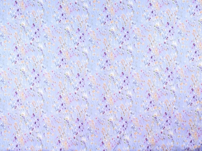 copy of Silkki, jonka on allekirjoittanut malli