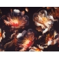 copy of Šilkas su ženklu шаблон