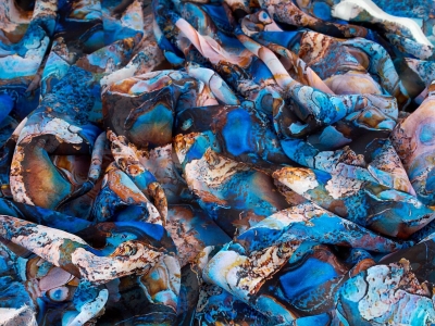 copy of Zīda ar parakstu veidne