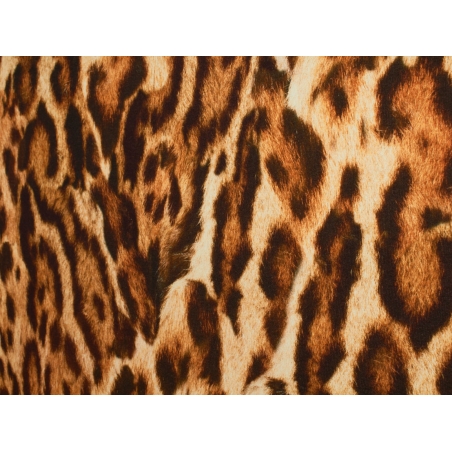 Leopard-print cotton knit fabric.