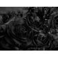 Structural lace on tulle - little roses