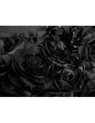 Structural lace on tulle - little roses