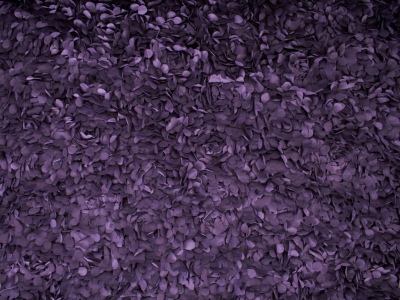 copy of Hortenzija - Korpuso žiedlapiai 3D - 3 spalvos