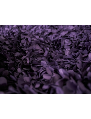 Hortensia - Blomsterblade 3D - 3 farver