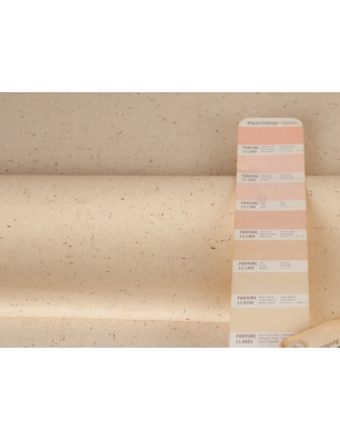 Ecru wool diagonal twill like raw wool