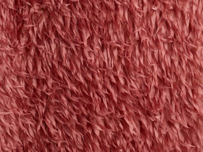 Matière avec des plumes cousues en organza