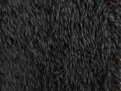 Material with sewn-on feathers made of organza
