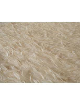 Eco-friendly feathers by the meter - Bemax Fabrics Wholesaler