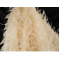 Matière avec des plumes cousues en organza