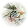 selyem sifon