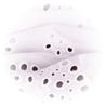 dentelle en coton