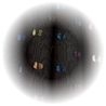 Polyestersifon